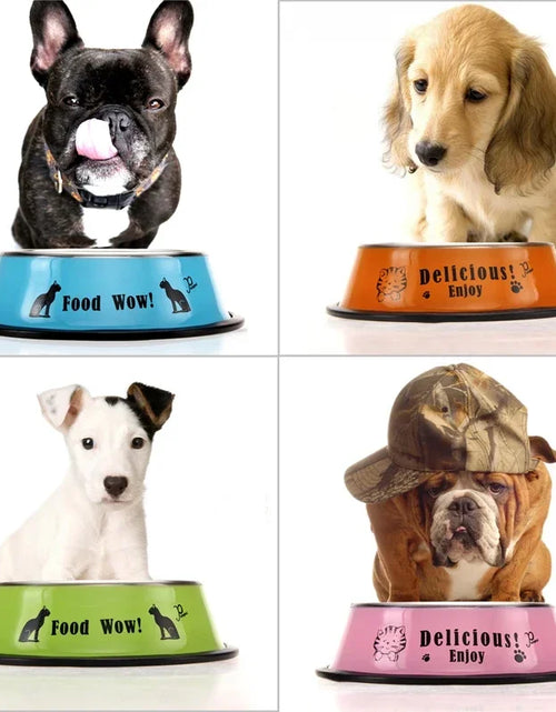 Load image into Gallery viewer, Stainless Steel Cartoon Pet Dog Food Water Bowl Dog Cat Anti-skid Feeding Watering Bowl 11cm Diameter Pet Feeder
