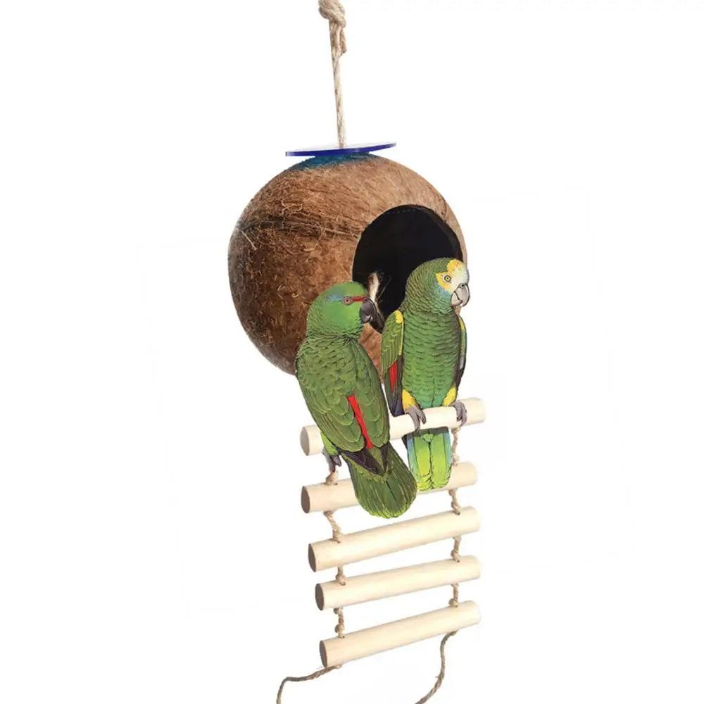 Pet Bird Parrot Cages Coconut Shell Parrot Birds Fixed Swing Nest With Ladder Pet House Cave Hamster Squirrel Breeding Nest