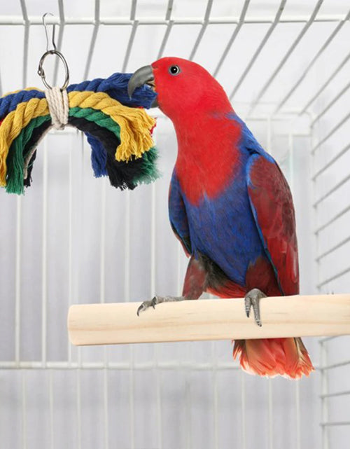 Load image into Gallery viewer, 8pcs Bell Natural Wood Safe Hammock Lanyard Ladders Pet Supplies Parrot Swing Toy For Bird Portable Multi Functional Chewing
