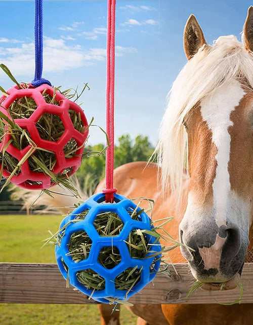 Load image into Gallery viewer, 4 Packs Horse Treat Ball Hay Play Ball,Goat Hay Ball Hanging Feeding Toy For Sheep Horse Goat Feeder And Relieve Stress
