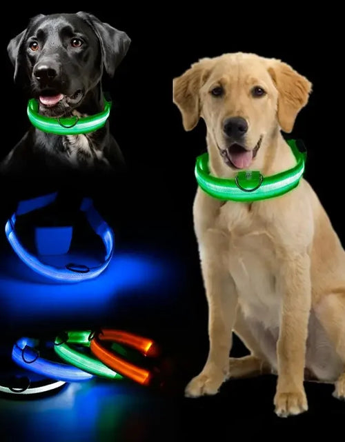 Load image into Gallery viewer, Fashion Pet Dog Collar Nylon Glow LED Glowing Cat Collars Adjustable Dog Leash Anti-loss Pet Cats Dogs Harness Accessories
