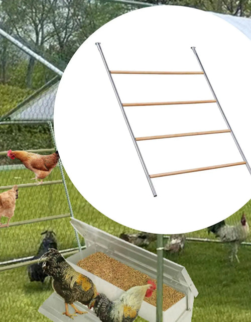 Load image into Gallery viewer, Chicken Roosting Perch Easy to Clean Easy to Assemble Enrichment Toy Chicken Roosting Ladder for Hen Farm Macaw Rooster Chick
