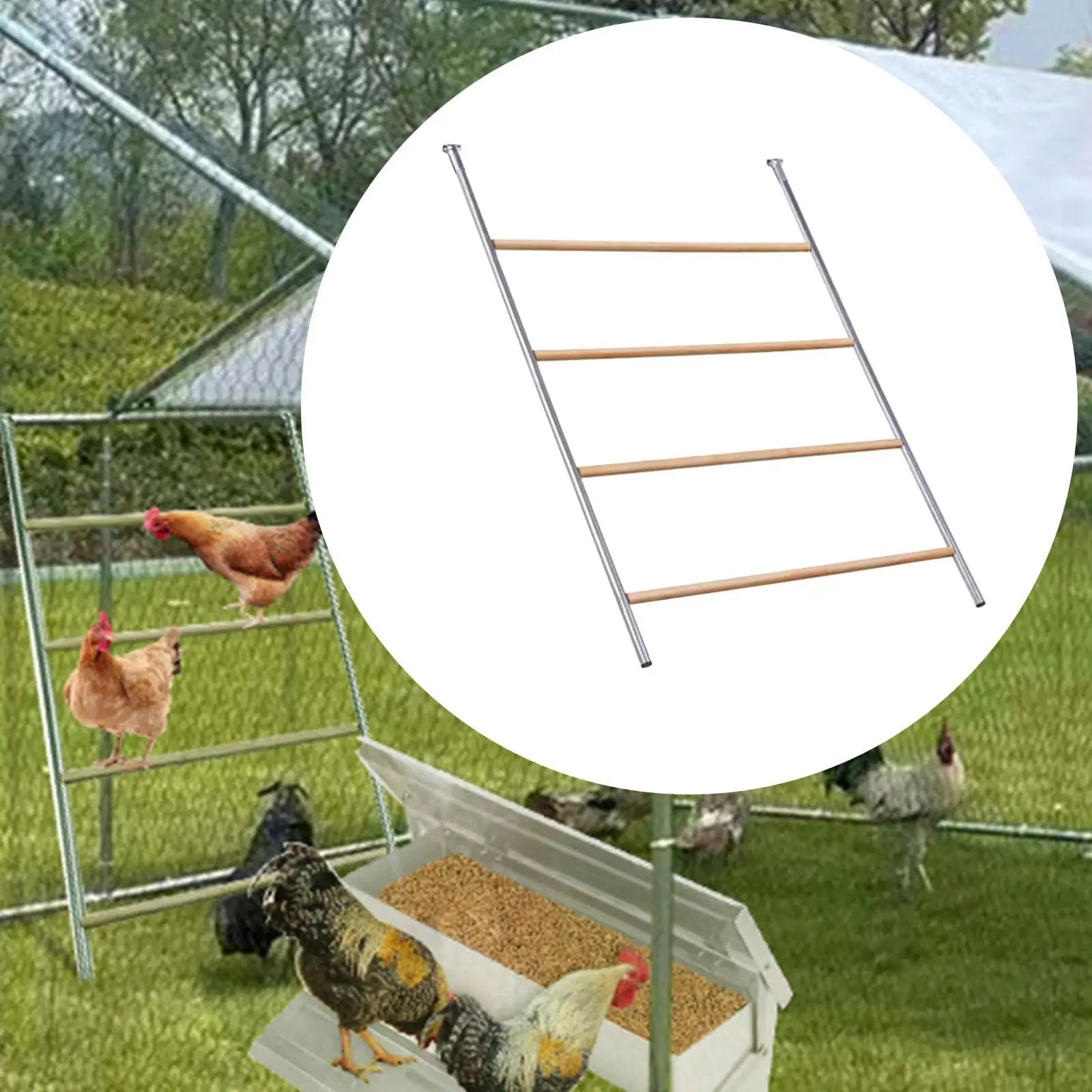 Chicken Roosting Perch Easy to Clean Easy to Assemble Enrichment Toy Chicken Roosting Ladder for Hen Farm Macaw Rooster Chick