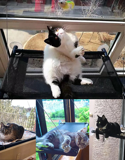 Load image into Gallery viewer, Window Mounted Cat Hammock Beds Pet Windows Perch Bearing 20kg Comfortable Soft Warm Suction Cup Cute Cat Bed
