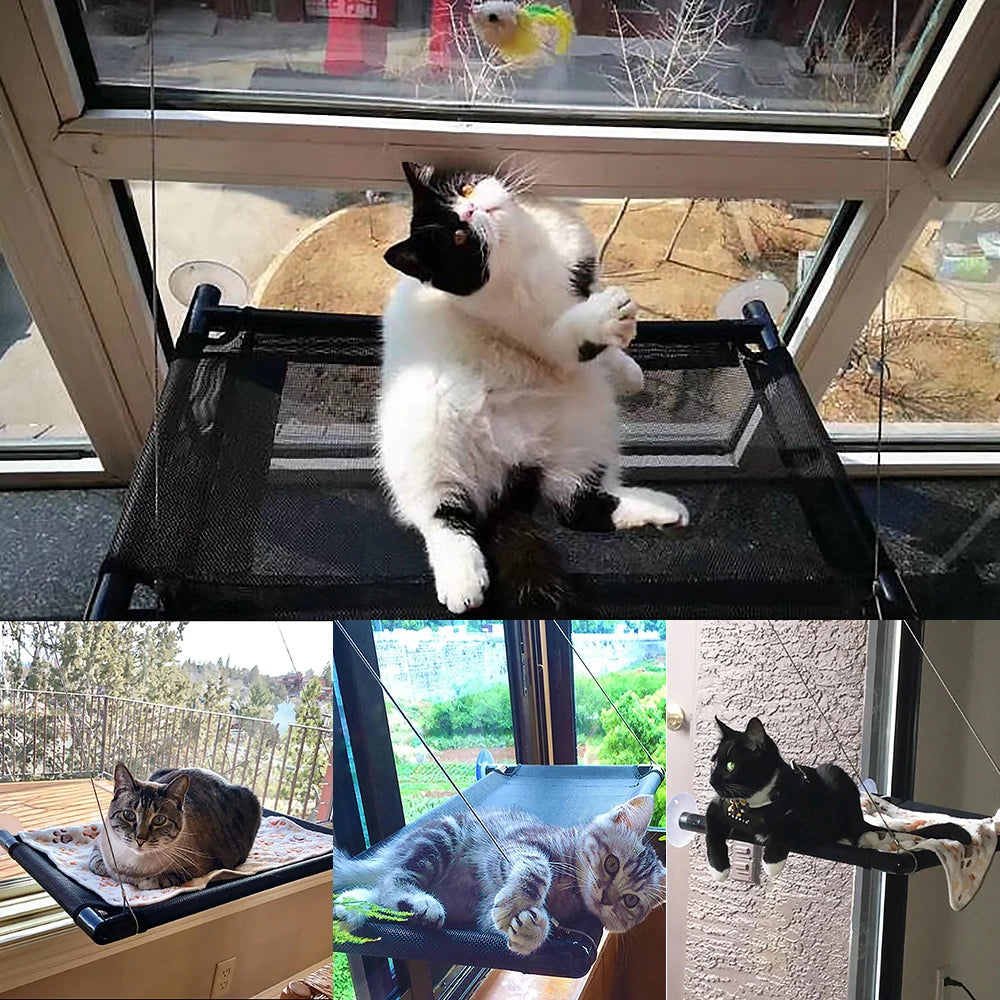 Window Mounted Cat Hammock Beds Pet Windows Perch Bearing 20kg Comfortable Soft Warm Suction Cup Cute Cat Bed