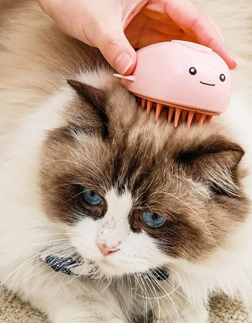 Load image into Gallery viewer, Hot Steam Technology Pet Brush 3-in-1 Pet Grooming Tool Whale Shape Steamy Cat Brush Multifunctional Dog Grooming Tool for Hair
