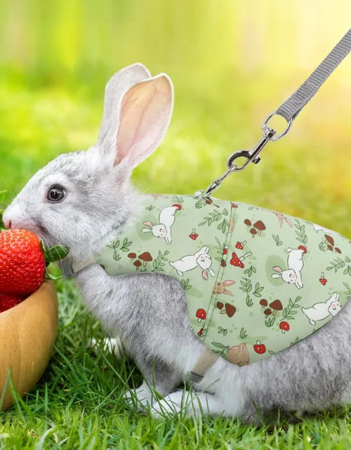 Load image into Gallery viewer, A Set of Stylish Printed Breathable Pet Rabbit Chest and Back for Outdoor Use Rabbit Bunny Rabbit Harness Guinea Pig Accessories
