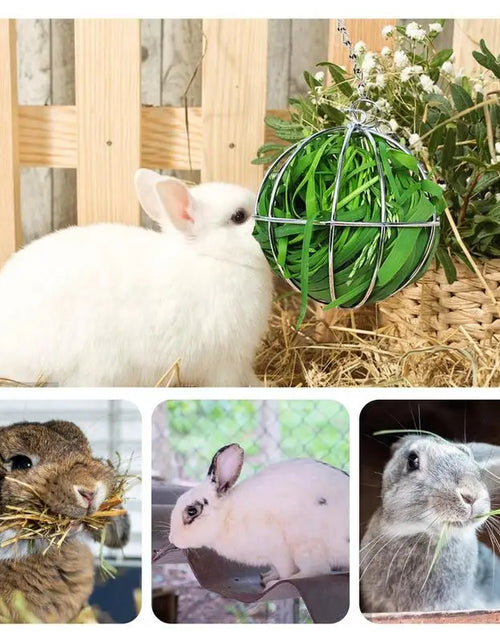 Load image into Gallery viewer, Hay Feeder Ball Stainless Steel Bunny Grass Sphere Play Chew Toy Grass Rack Ball, Pet Supplies For Bunny Hamster Chinchilla
