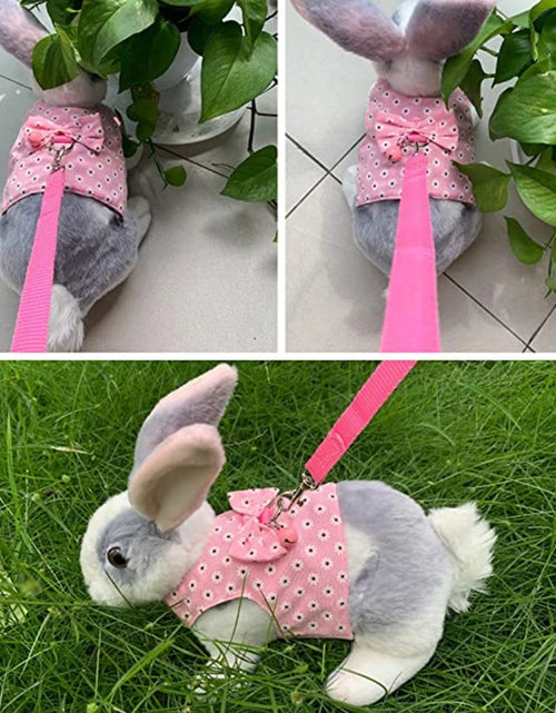 Load image into Gallery viewer, Bunny Harness and Leash Rabbit Vest for Guinea Pig Ferret Chinchilla Hamster  Lovely Costume 3 Sizes  Colors B03E
